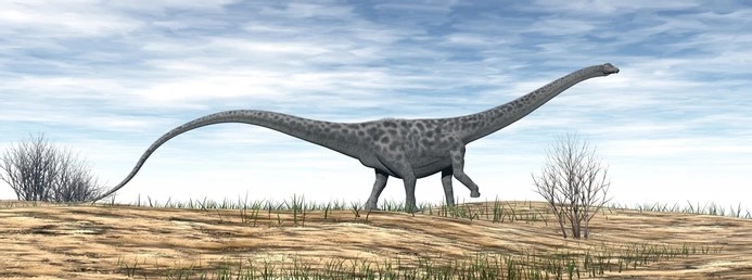 Diplodocus