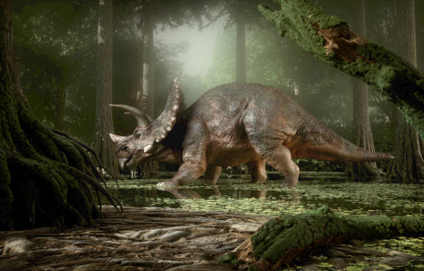 Triceratops